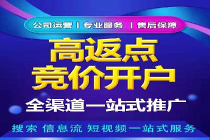 百度竞价广告投放技巧及某行业成功案例